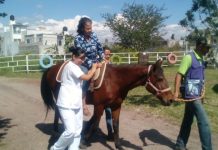 Ayuda DIF Morelos a adultos mayores con sesiones de equinoterapia