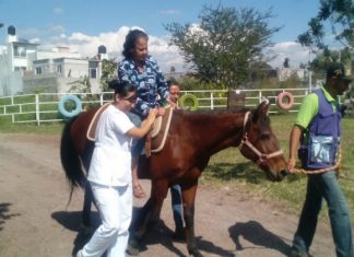 Ayuda DIF Morelos a adultos mayores con sesiones de equinoterapia
