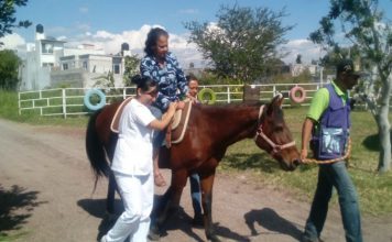 Ayuda DIF Morelos a adultos mayores con sesiones de equinoterapia