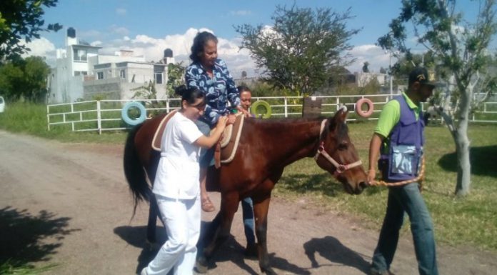 Ayuda DIF Morelos a adultos mayores con sesiones de equinoterapia
