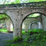 Gringo Viejo · Cine · Libros