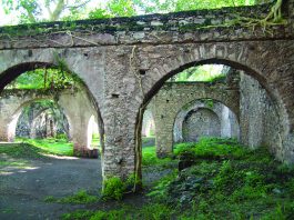 Gringo Viejo · Cine · Libros