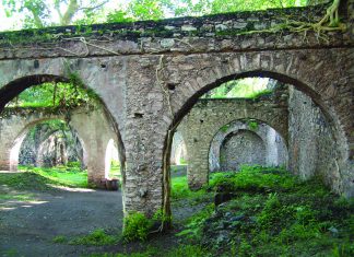 Gringo Viejo · Cine · Libros
