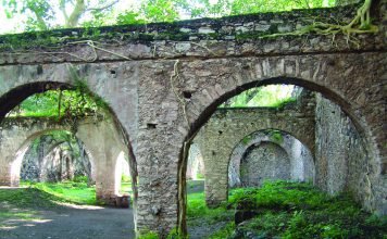 Gringo Viejo · Cine · Libros