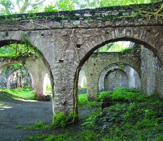 Gringo Viejo · Cine · Libros