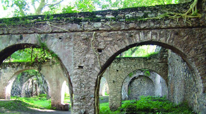 Gringo Viejo · Cine · Libros