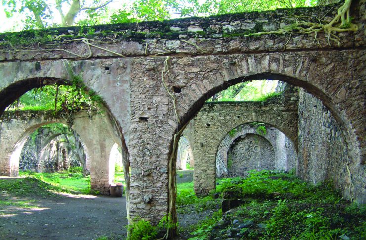 Gringo Viejo · Cine · Libros