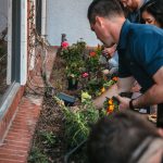 Vivienda Sustentable · Morelos vivienda sustentable en Morelos