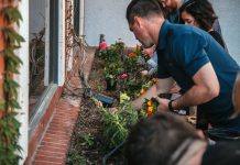 Vivienda Sustentable · Morelos vivienda sustentable en Morelos