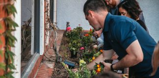 Vivienda Sustentable · Morelos vivienda sustentable en Morelos