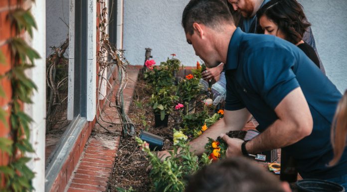 Vivienda Sustentable · Morelos vivienda sustentable en Morelos