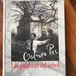 A la sombra del árbol