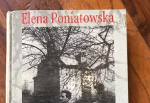 A la sombra del árbol