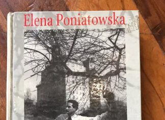 A la sombra del árbol