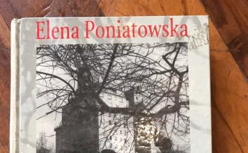 A la sombra del árbol