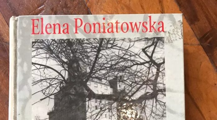 A la sombra del árbol