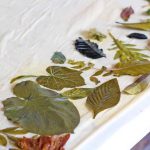 Taller De Impresión Vegetal En El Centro Cultural Jardín Borda Impresion Vegetal en el Jardin Borda