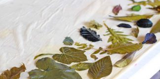 Taller De Impresión Vegetal En El Centro Cultural Jardín Borda Impresion Vegetal en el Jardin Borda