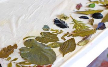 Taller De Impresión Vegetal En El Centro Cultural Jardín Borda Impresion Vegetal en el Jardin Borda